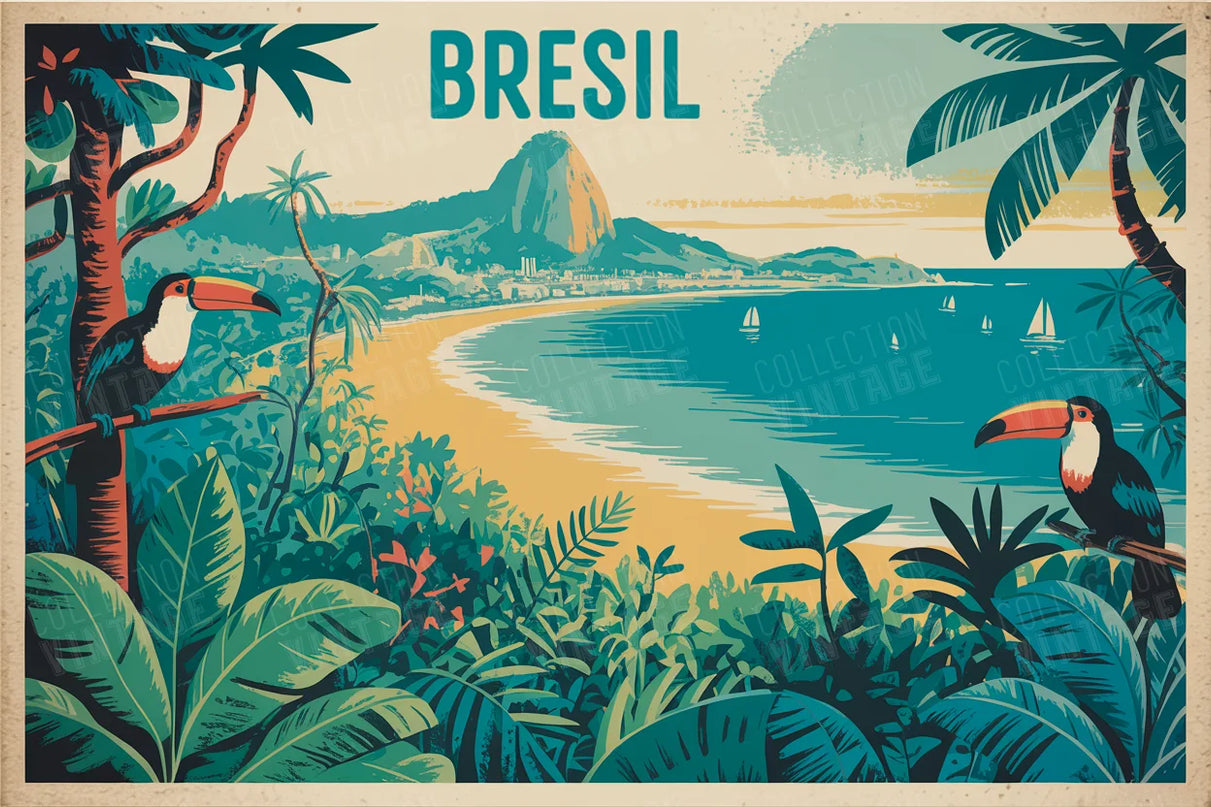 affiche brésil forme organique colorée