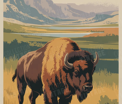 affiche bison americain vintage