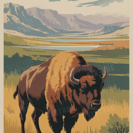 affiche bison americain vintage