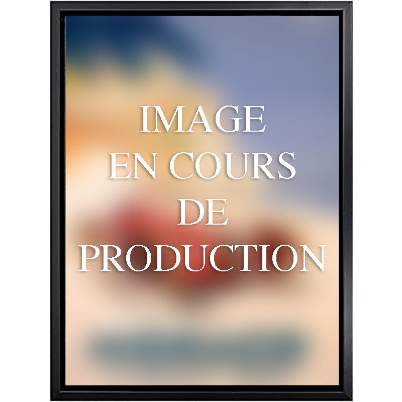 Affiche Vintage Saumur